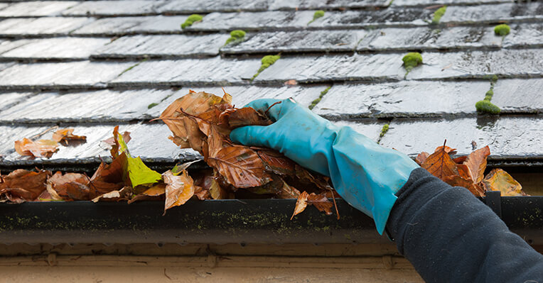 How Clean Gutters Can Protect Your Home's Foundation and Landscaping