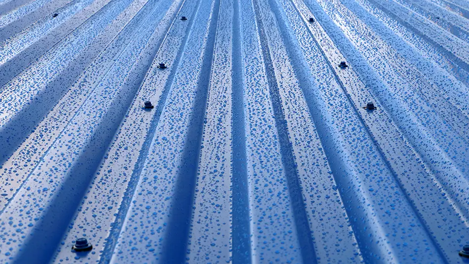 metal roof