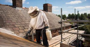From Shingles to Soffits: A Roofer’s Guide to Spotting Pest Trouble Before it Spreads