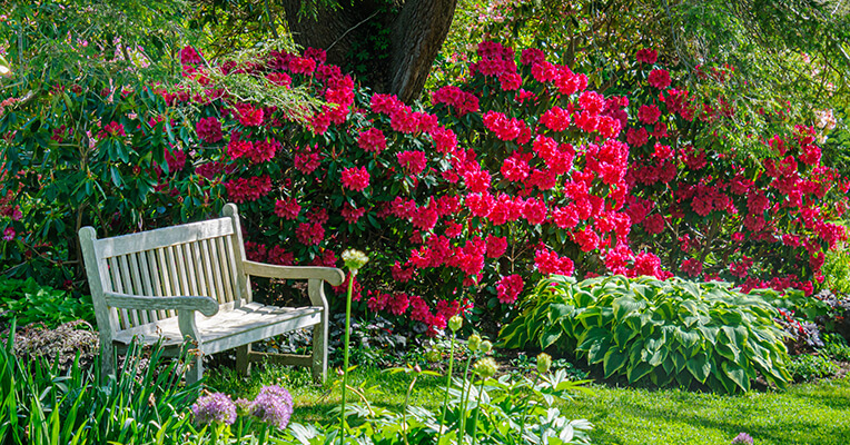 Building a Garden Retreat: 6 Ideas for Creating a Peaceful Escape
