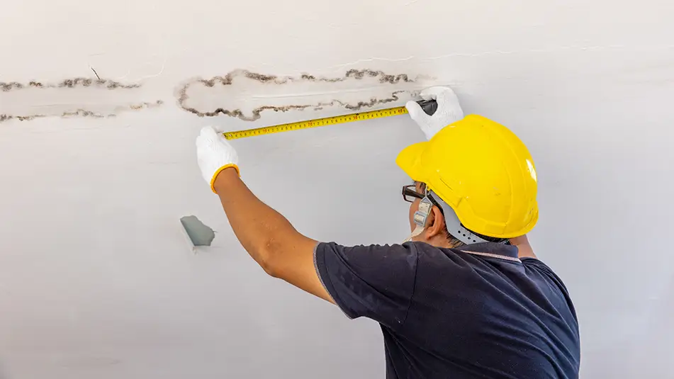 Damp ceiling
