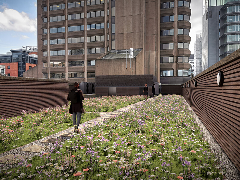 Climate technology blue roof - Manchester|nicholas wright headshot|manchester argus butterfly web||Polypipe's Blue-Green Roof at Bruntwood's Bloc|Polypipe's Blue-Green Roof at Bruntwood's Bloc