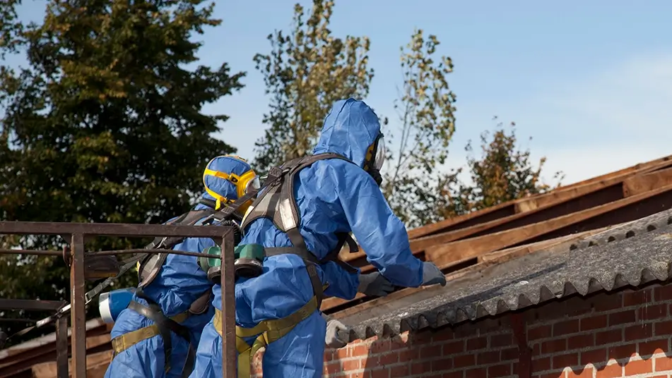 Asbestos removal experts removing asbestos roof panels