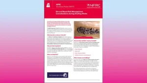 Bat Conservation Trust Partners with NFRC to Offer Guidance and Training to Contractors