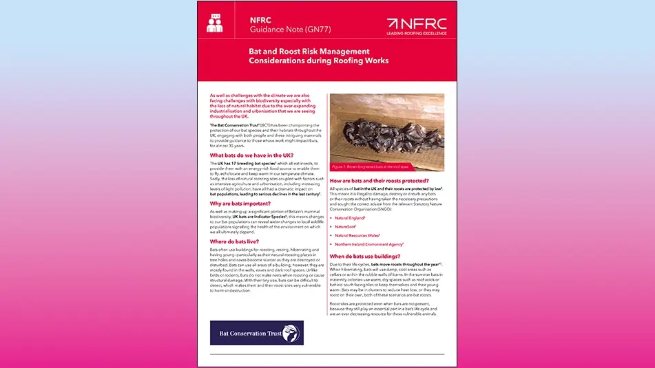 https://roofingtoday.co.uk/bat-conservation-trust-partners-with-nfrc-to-offer-guidance-and-training-to-contractors/