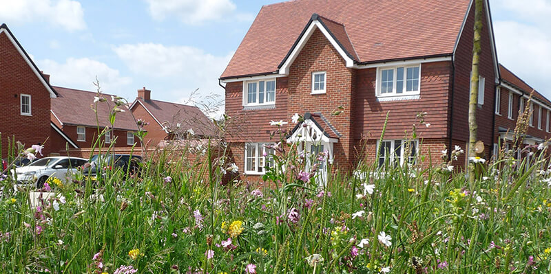 Housing Secretary Reveals New Homes Targets in Planning Overhaul