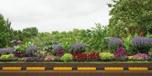Green-tech Provides Irrigation Solution for Rooftop Planting Scheme in London