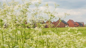 First Environmental Delivery Plan with 15,000 New Norfolk Homes Published