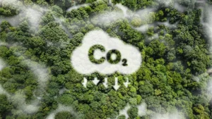 New NZCBS Designation to Recognise Buildings’ Net Zero Progress
