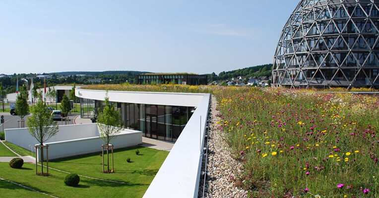 Optigrun Launches New RIBA Approved Blue Roof CPD|Optigrun CPD core|Optigrun CPD RIBA