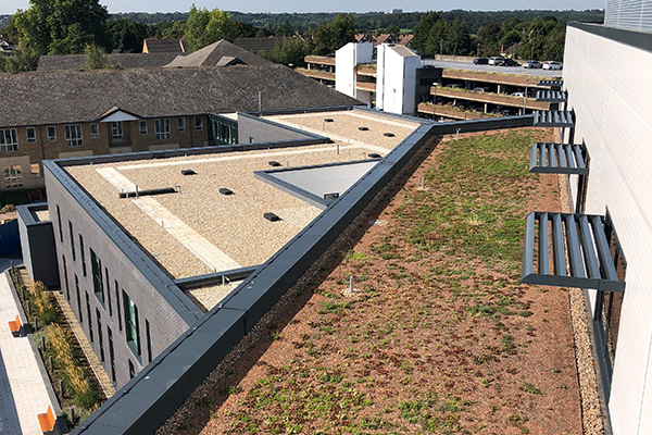 SOPREMA DuoFlex installation