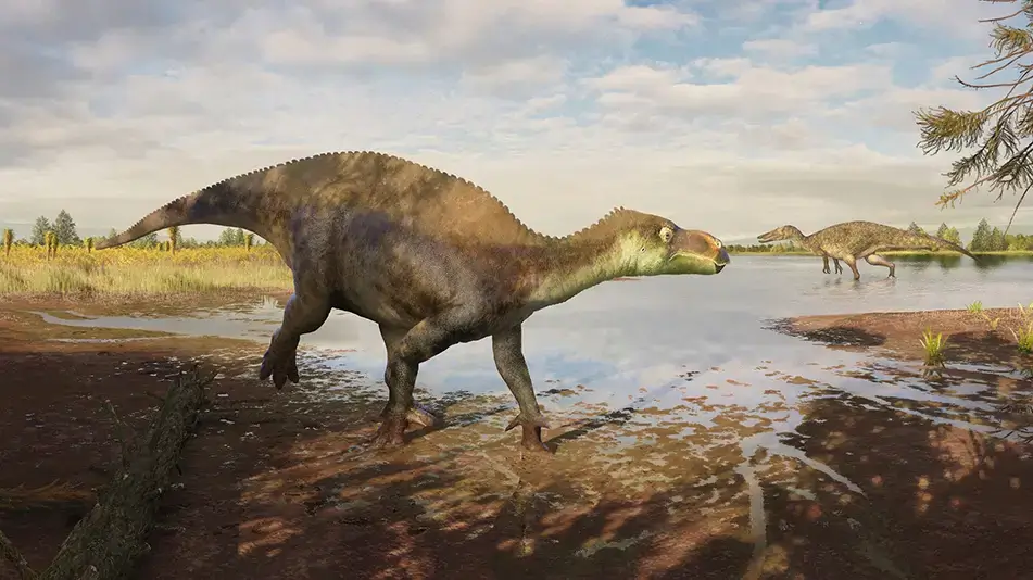 Illustration of the Paludohadros proudlovii dinosaur