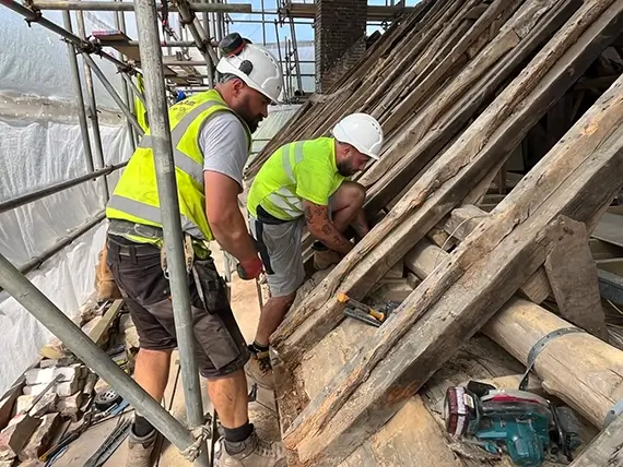 The Pilbeam team discovering the nest in the roof