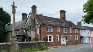 Heritage Roof Repairs Resume After Chicks Hatch in Chimney