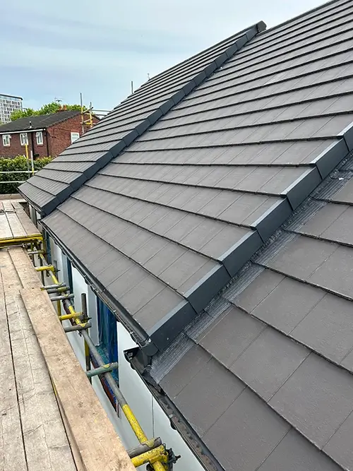 Renatus roofs