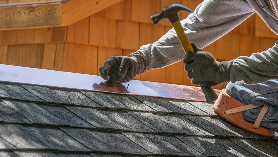 Roof shingles