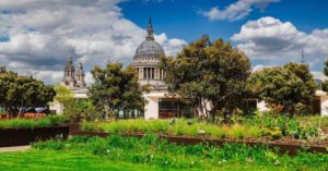 Eco Construction Company to Deliver UK’s Largest Roof Garden