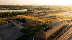 Get Ready for World Green Roof Day 2026