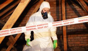 MPs Debate Asbestos Amid Calls for Legal Removal Duty