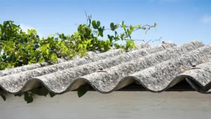 Warning Issued as ‘Deadly’ Roof Sheet Freebie Offers Put Lives at Risk