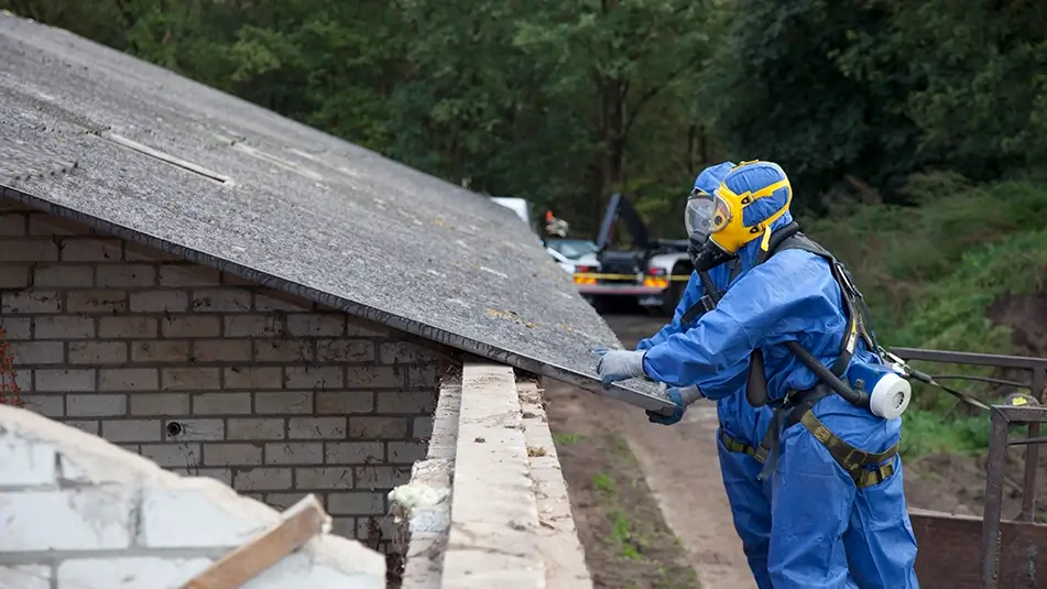 Wake-Up Call for Dutyholders Ahead of Asbestos Consultation
