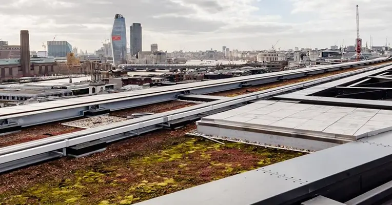 New Study Finds Green Roofs Capture Microplastics