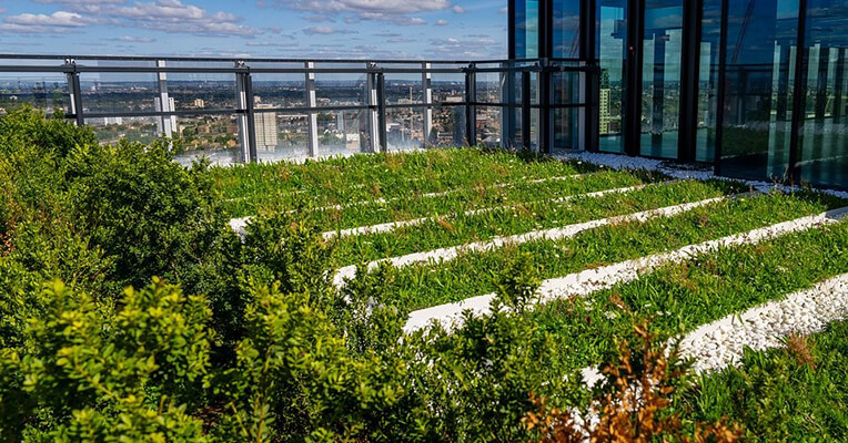 How to Maintain Your Green Roof Throughout the Year