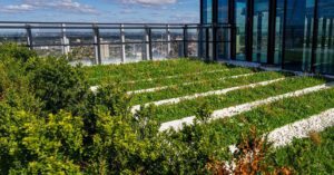How to Maintain Your Green Roof Throughout the Year