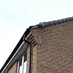 Wind damaged dry verge